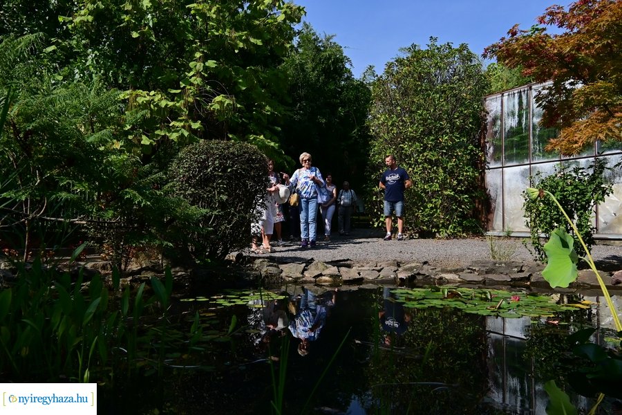 Idősügyi Tanács 20240827