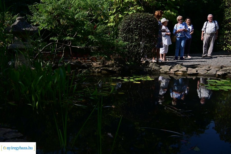 Idősügyi Tanács 20240827