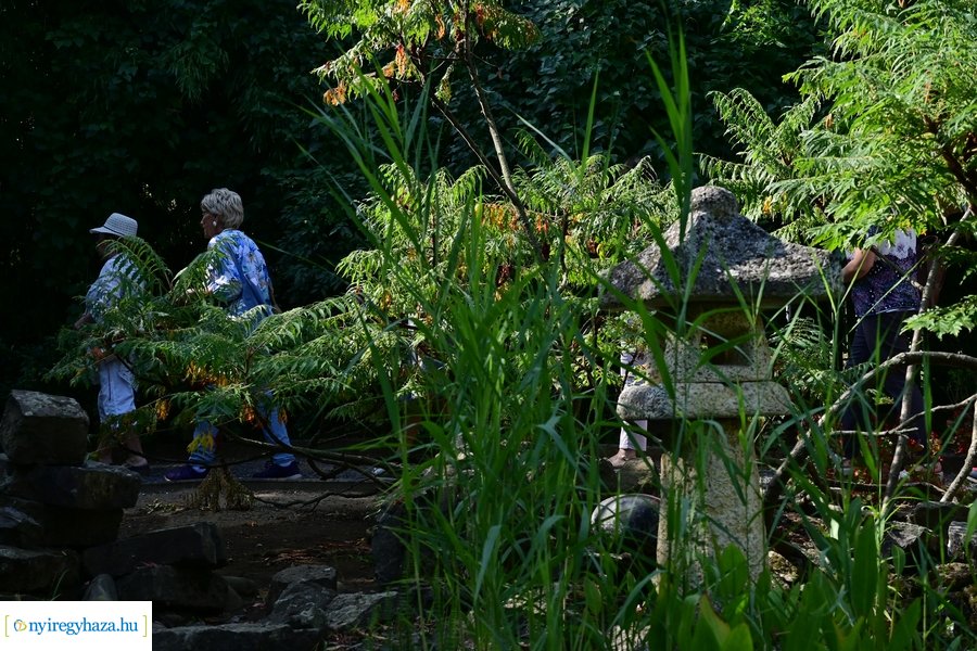 Idősügyi Tanács 20240827