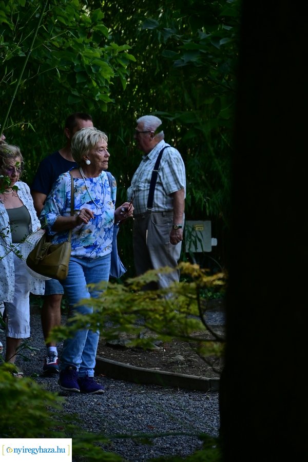 Idősügyi Tanács 20240827