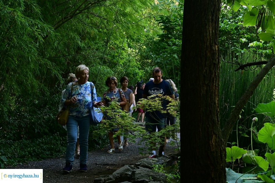 Idősügyi Tanács 20240827