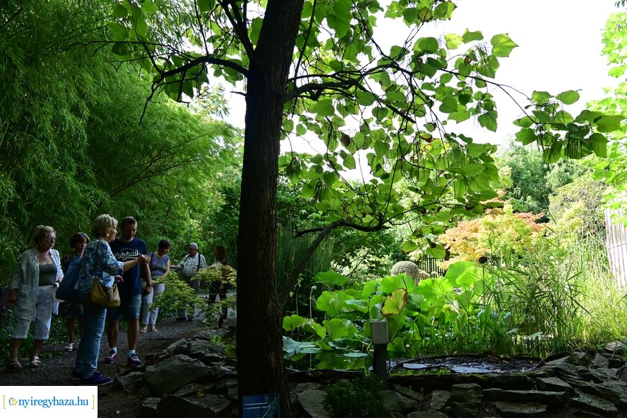 Idősügyi Tanács 20240827