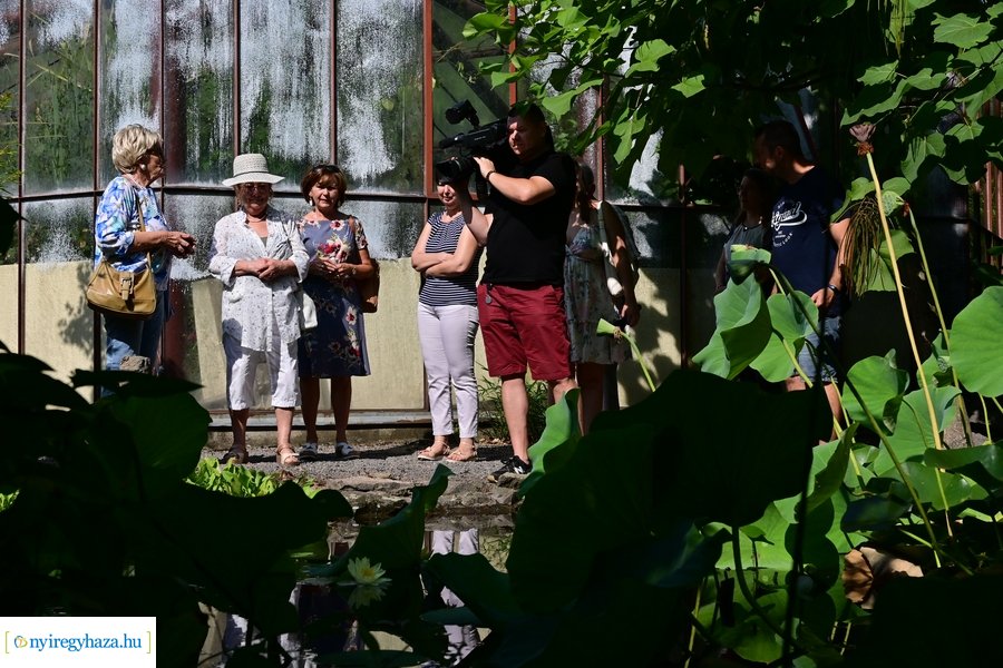 Idősügyi Tanács 20240827