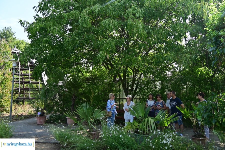 Idősügyi Tanács 20240827