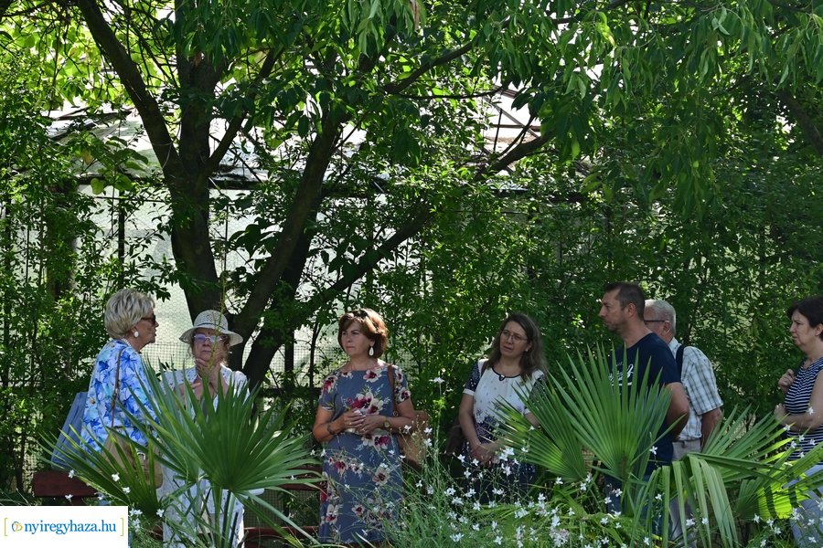 Idősügyi Tanács 20240827