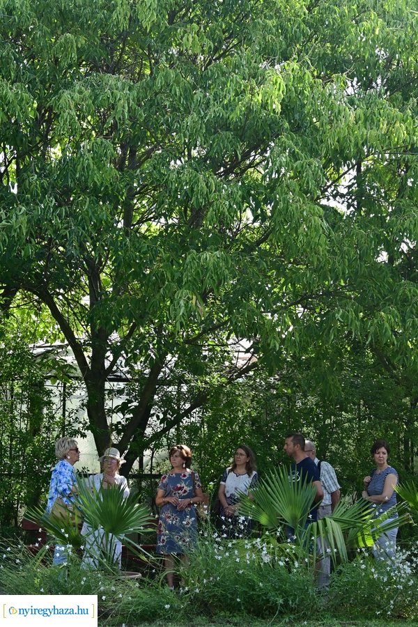 Idősügyi Tanács 20240827