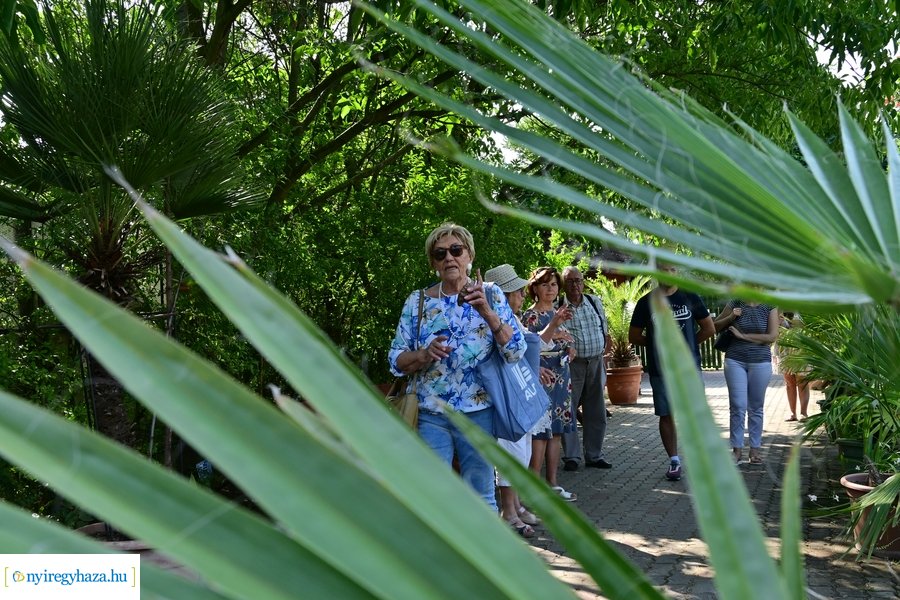 Idősügyi Tanács 20240827