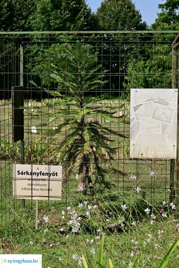 Idősügyi Tanács 20240827