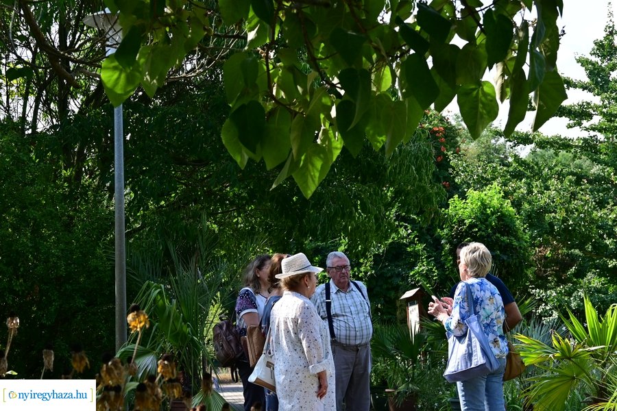 Idősügyi Tanács 20240827