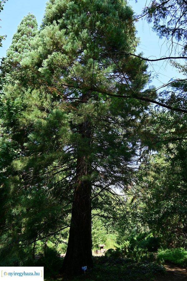 Idősügyi Tanács 20240827