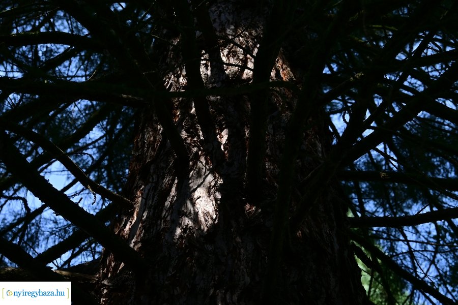 Idősügyi Tanács 20240827