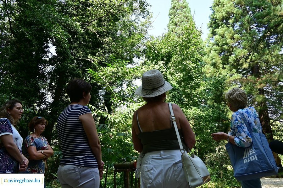 Idősügyi Tanács 20240827