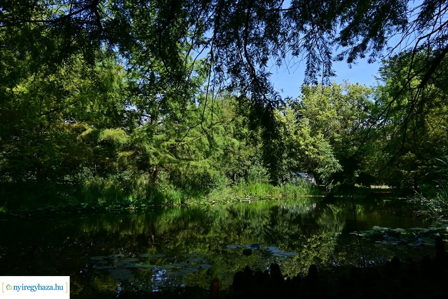 Idősügyi Tanács 20240827