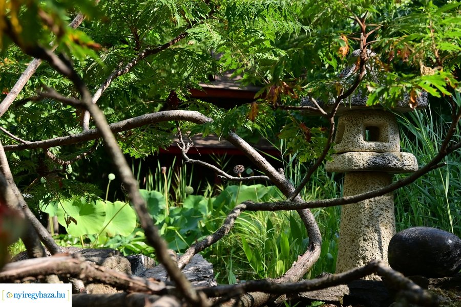 Idősügyi Tanács 20240827