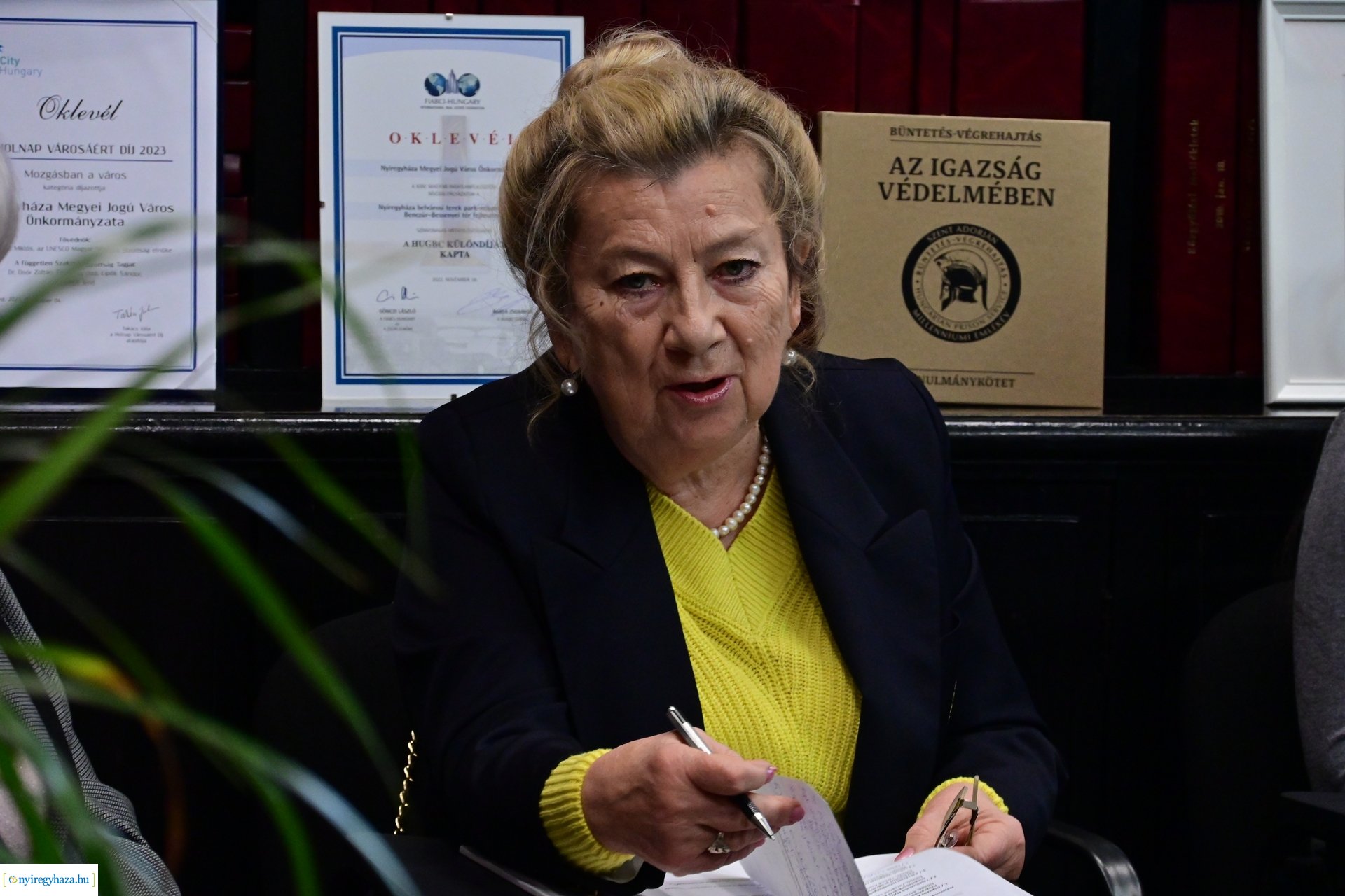 Idősügyi Tanács 20241029