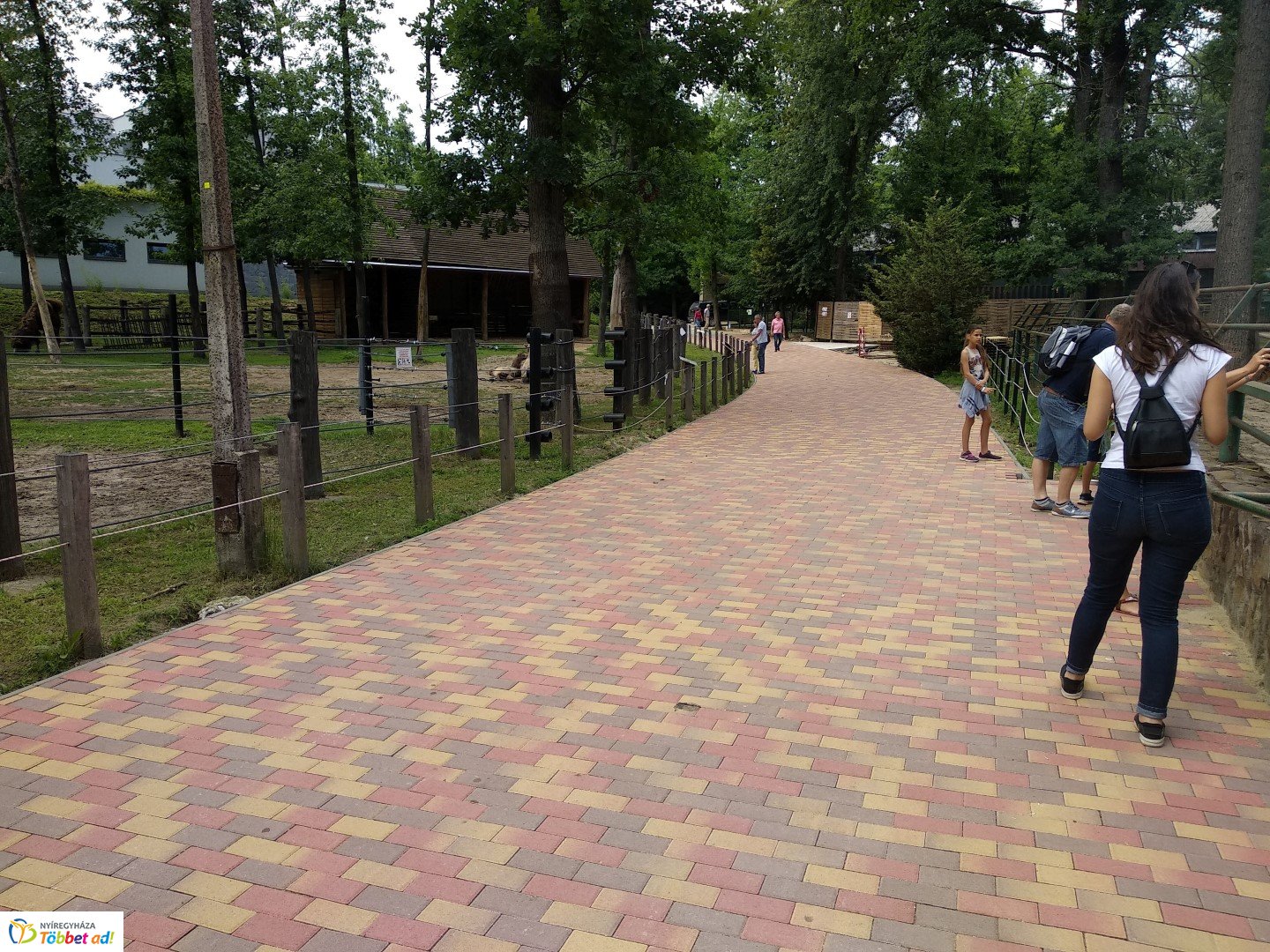 Így készült az Erdei sétány_2