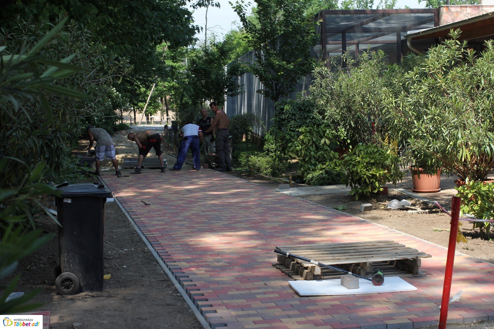 Így készült az Erdei sétány_2