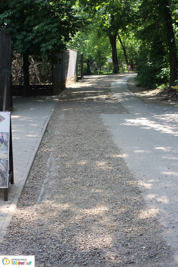 Így készült az Erdei sétány_2