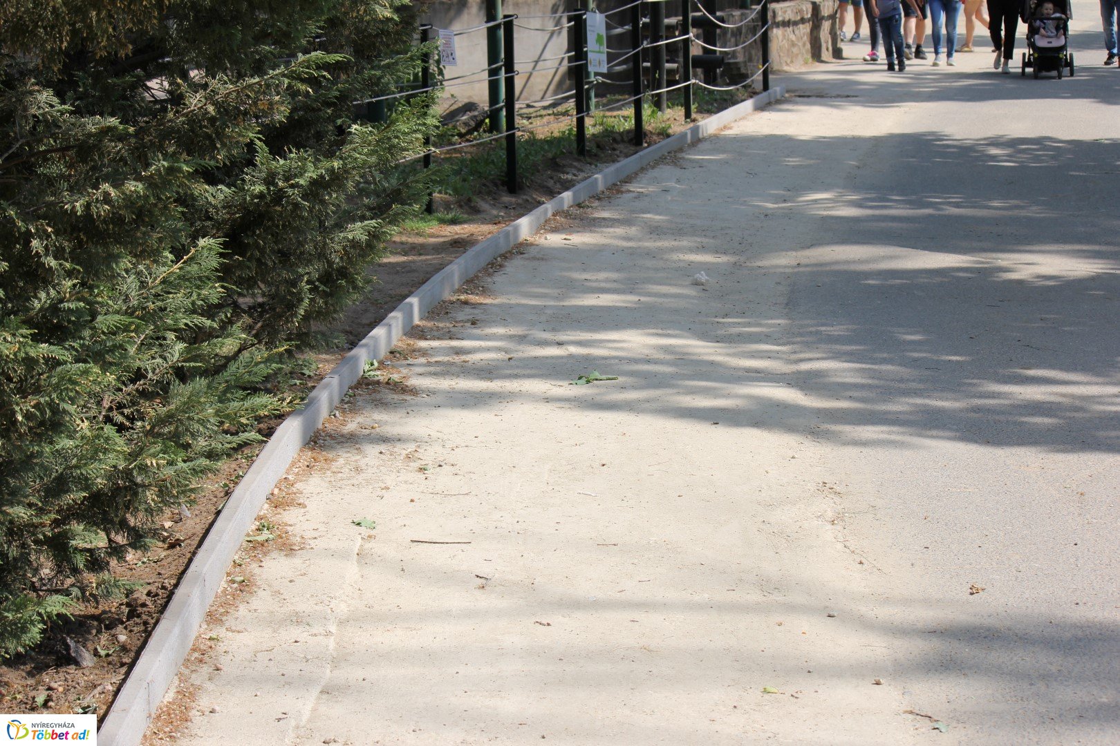 Így készült az Erdei sétány_2