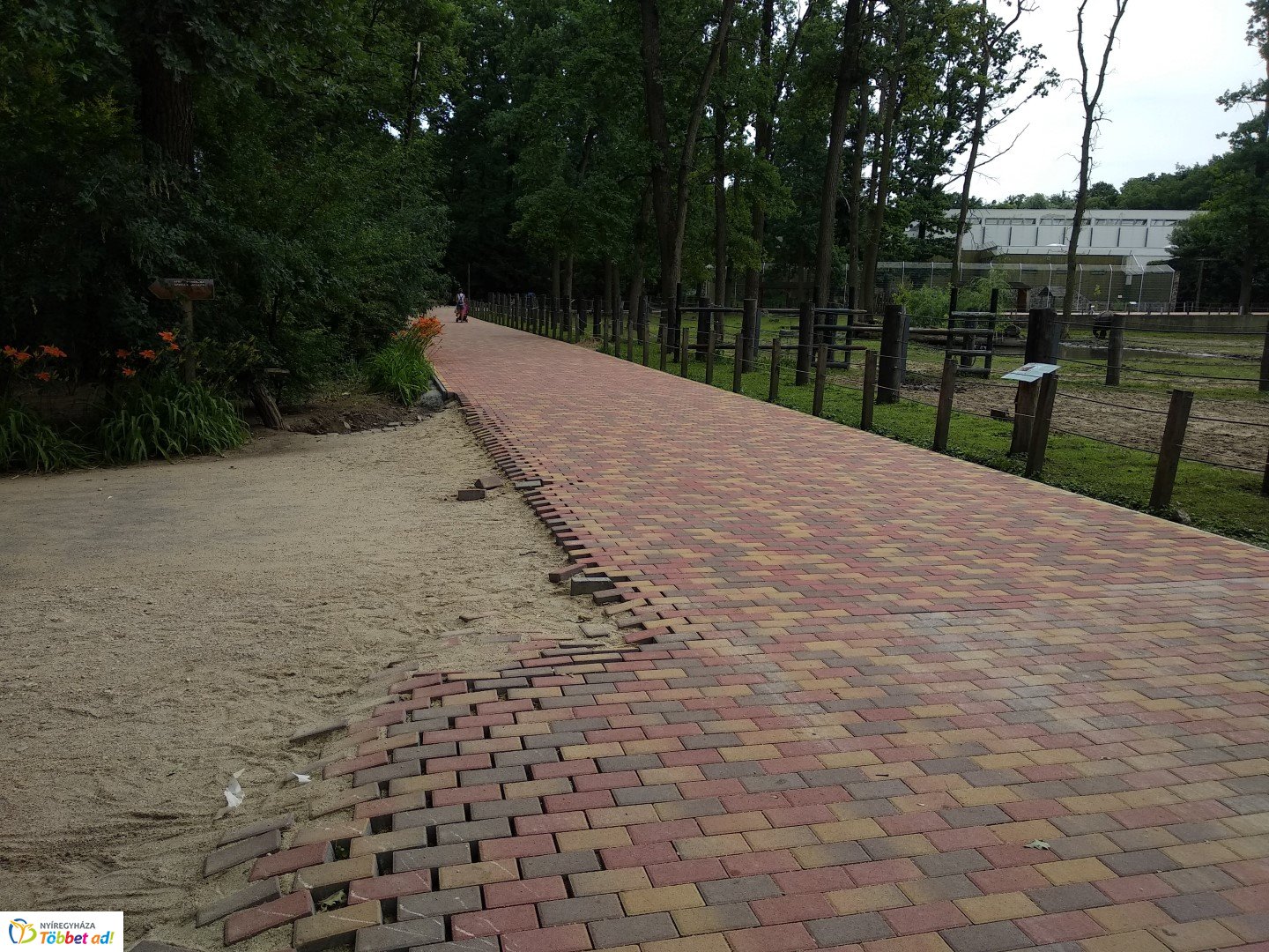 Így készült az Erdei sétány_2