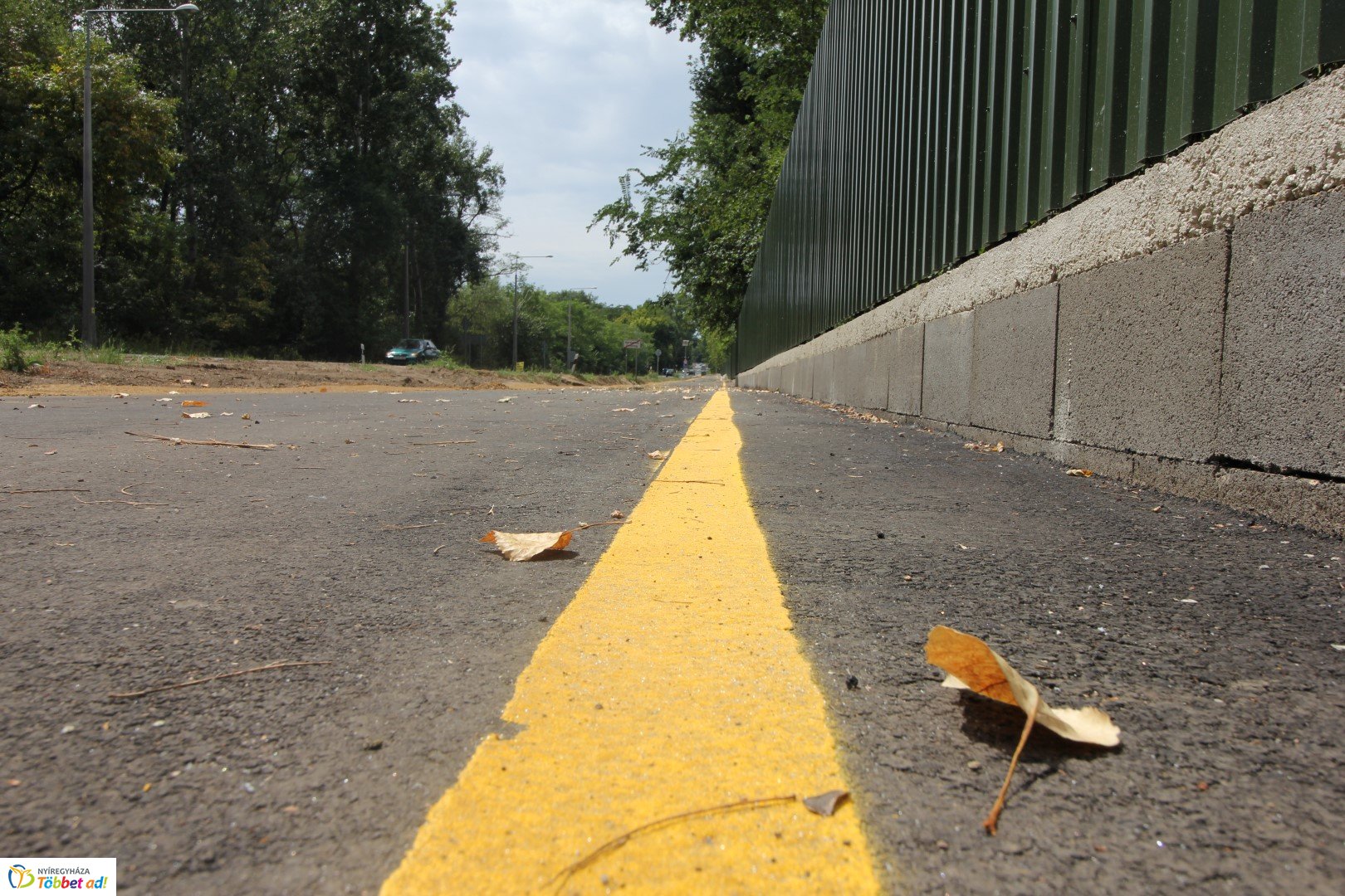 Így készült az Erdei sétány_3