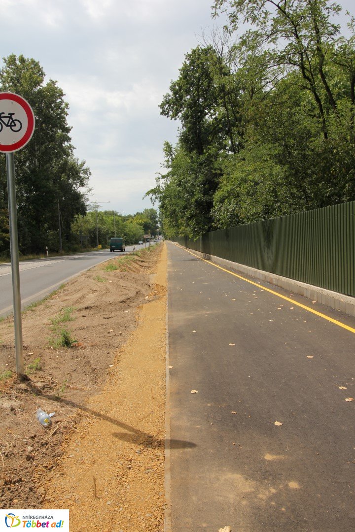 Így készült az Erdei sétány_3