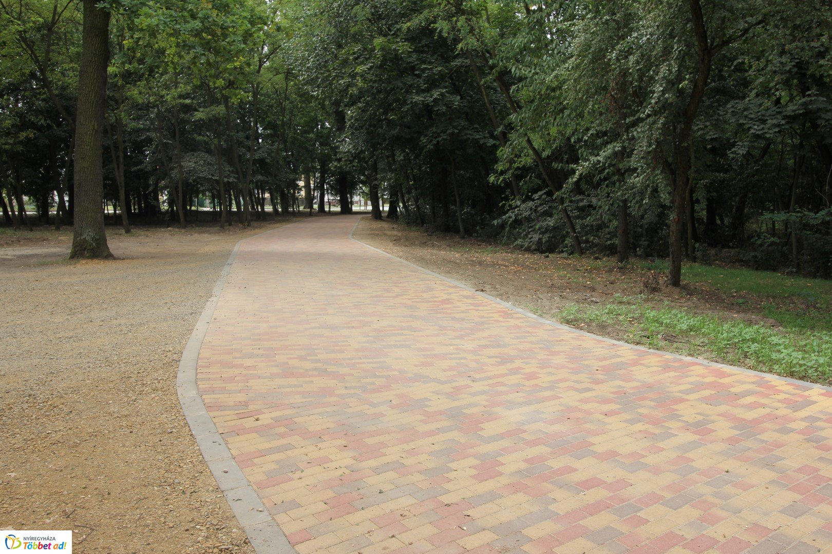 Így készült az Erdei sétány_3