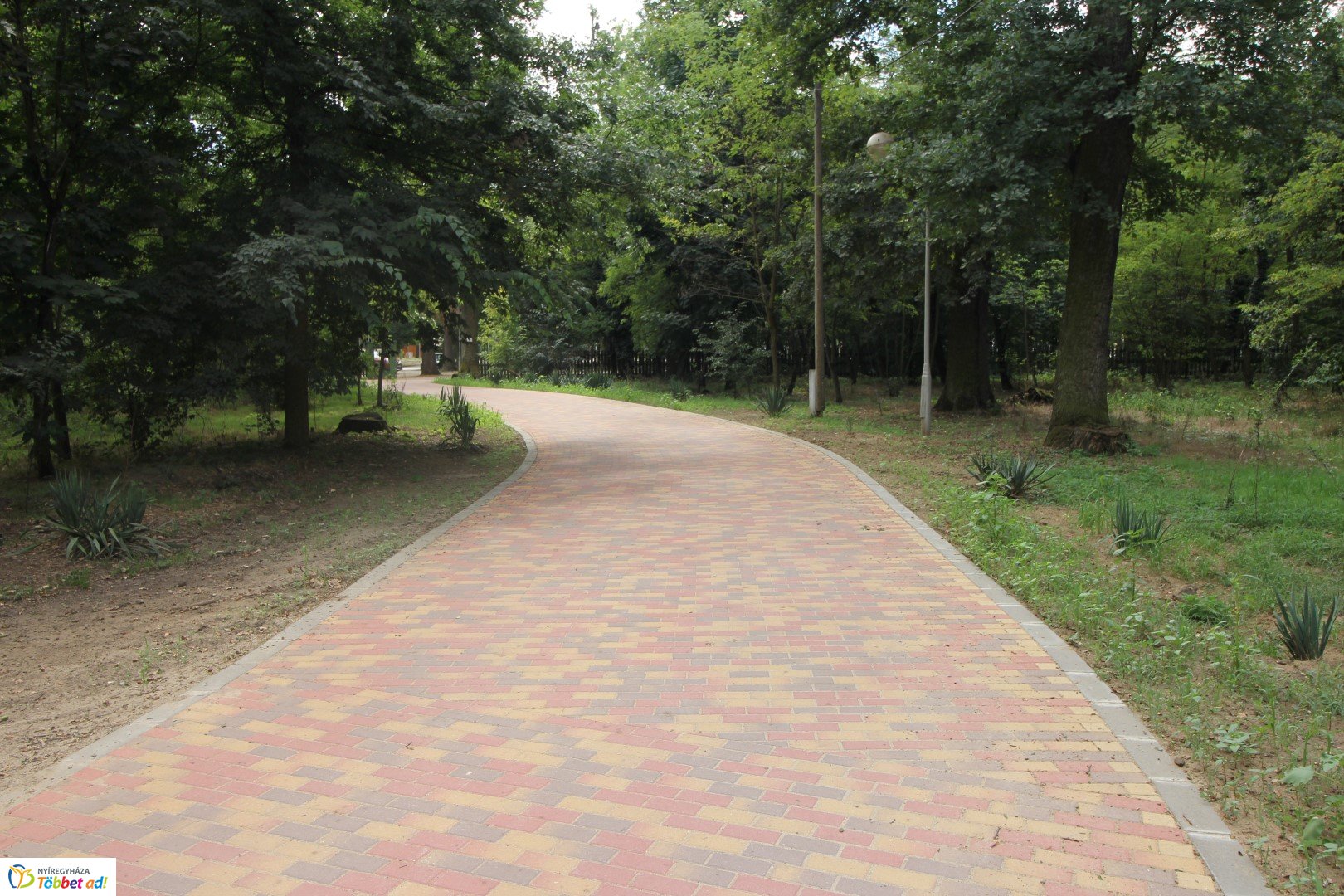 Így készült az Erdei sétány_3