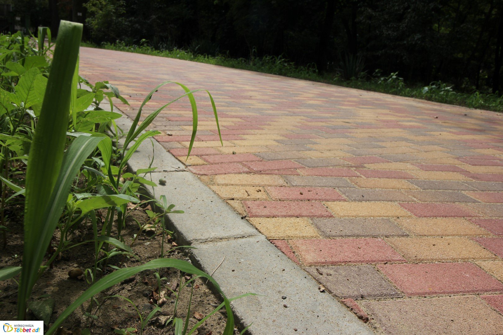 Így készült az Erdei sétány_3