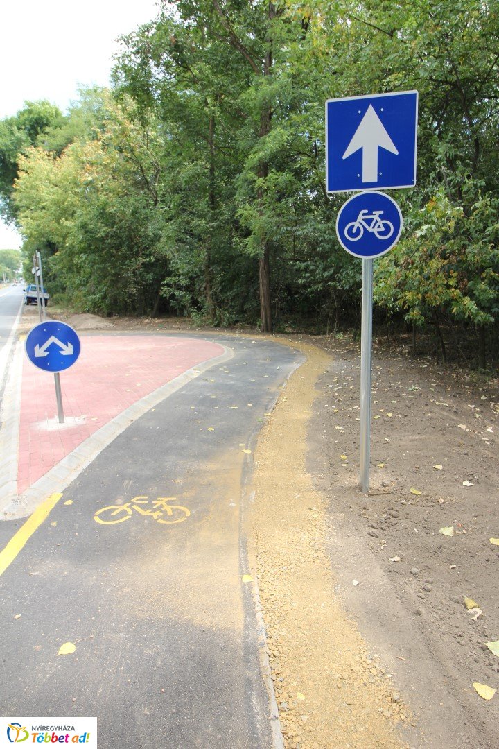 Így készült az Erdei sétány_3