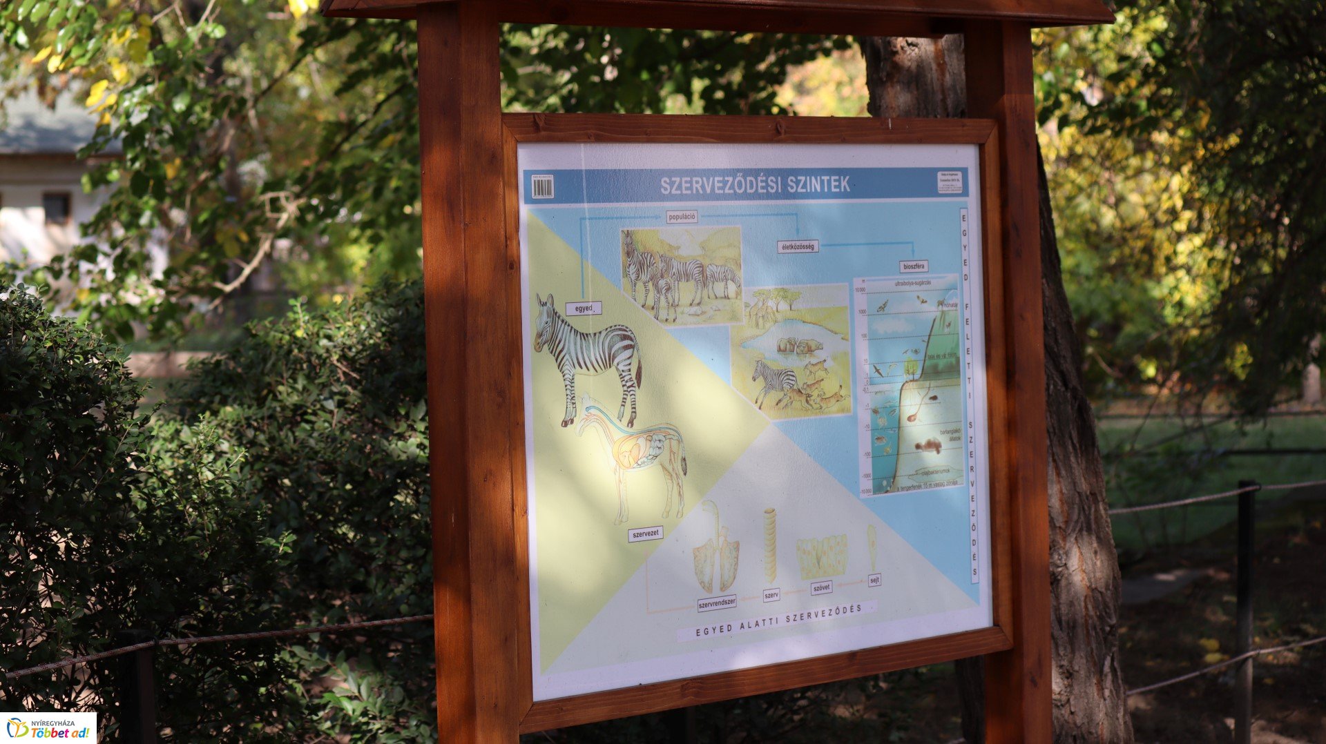 Így készült az Erdei sétány_4