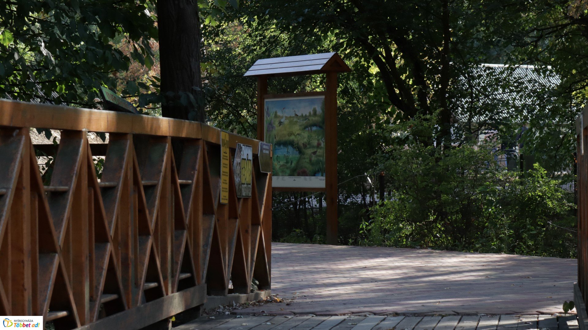 Így készült az Erdei sétány_4