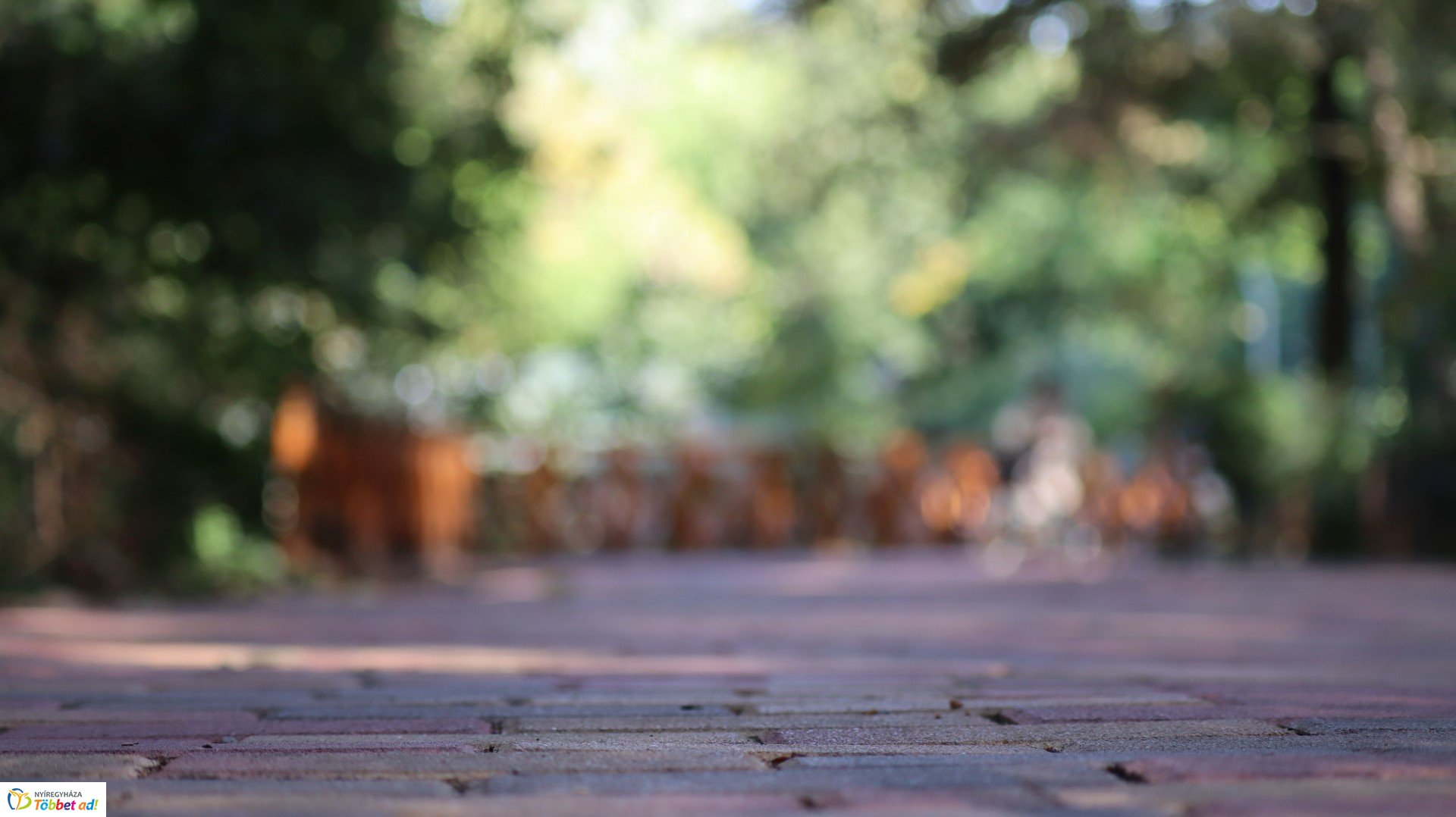 Így készült az Erdei sétány_4