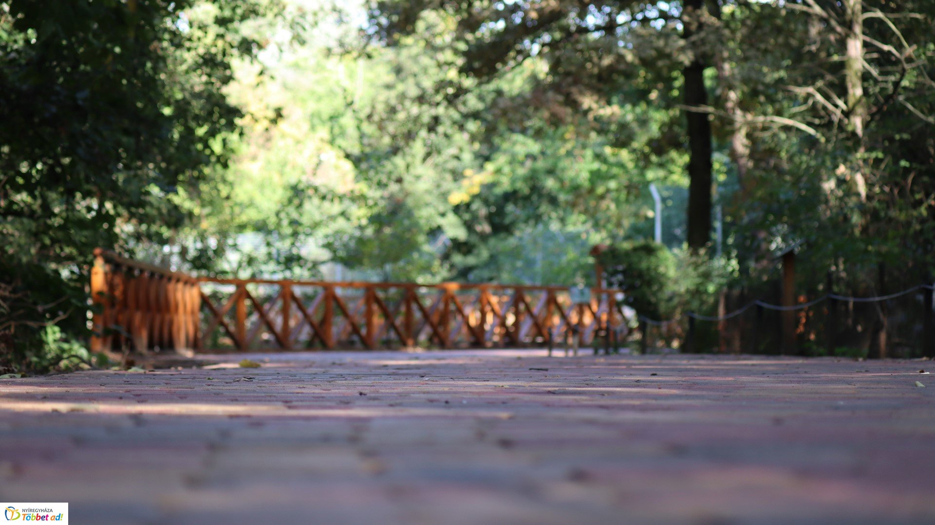 Így készült az Erdei sétány_4