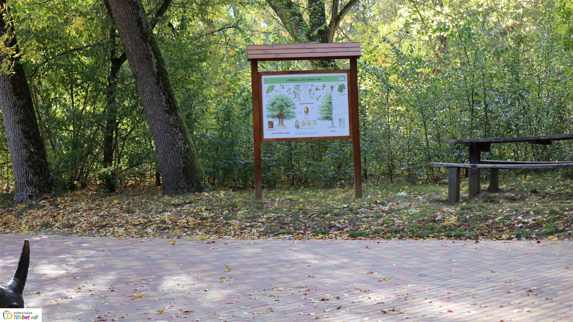 Így készült az Erdei sétány_4