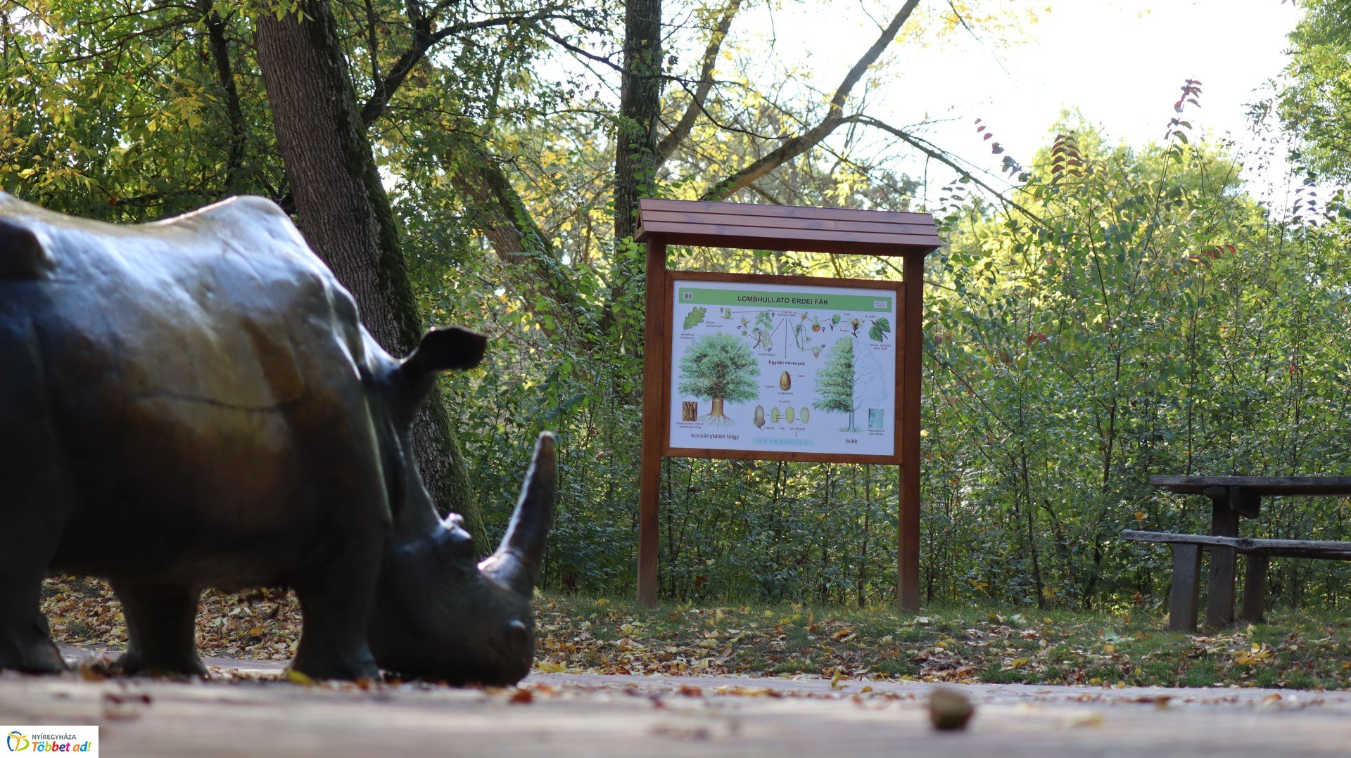 Így készült az Erdei sétány_4