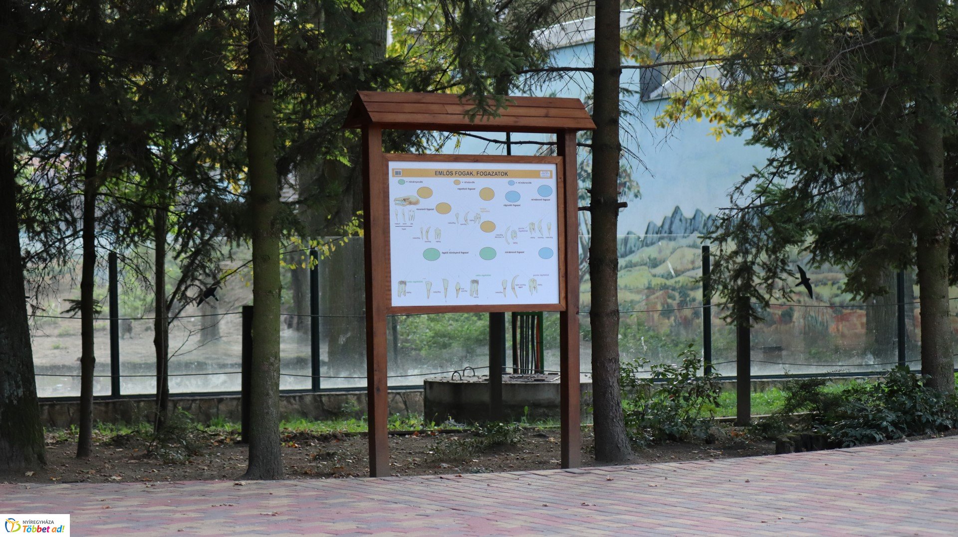 Így készült az Erdei sétány_4