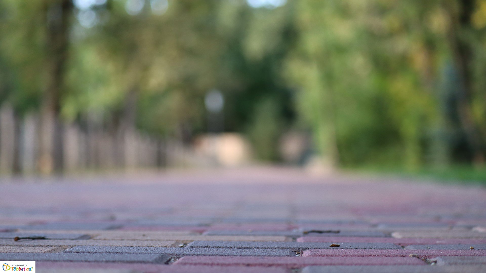 Így készült az Erdei sétány_4