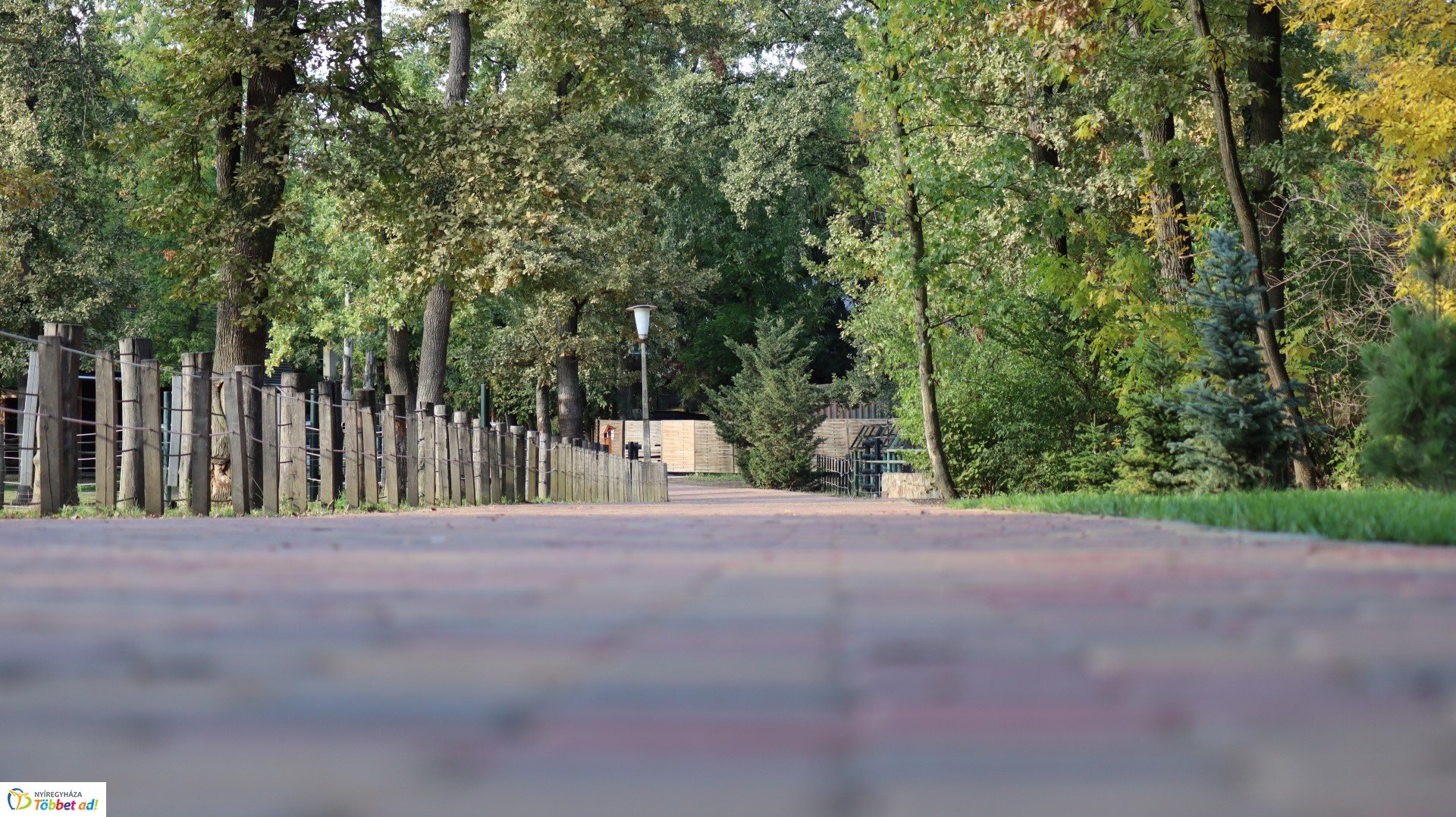 Így készült az Erdei sétány_4