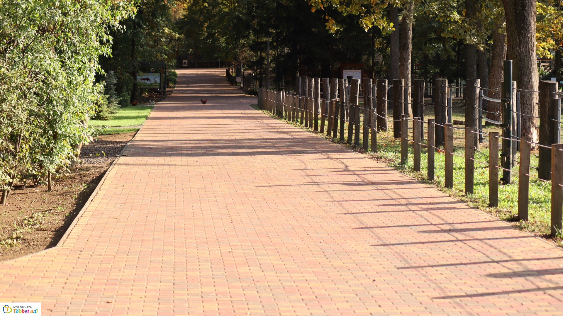 Így készült az Erdei sétány_4