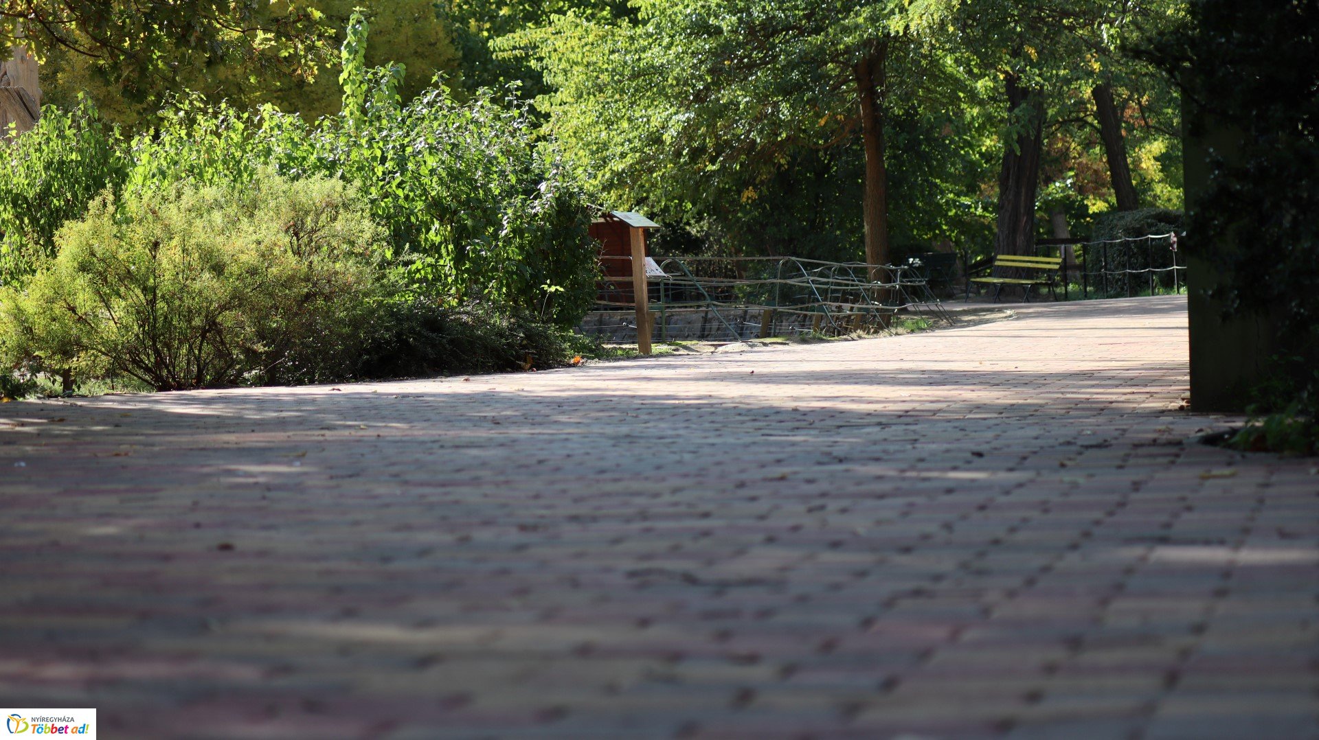 Így készült az Erdei sétány_4