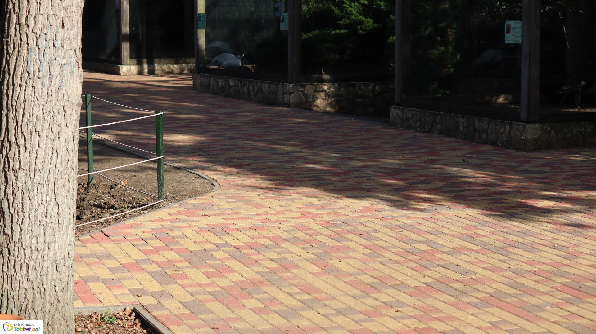 Így készült az Erdei sétány_4