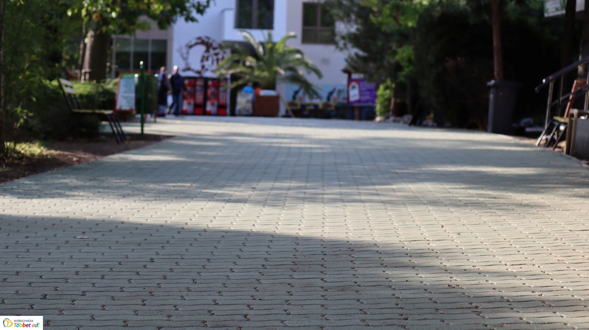 Így készült az Erdei sétány_4