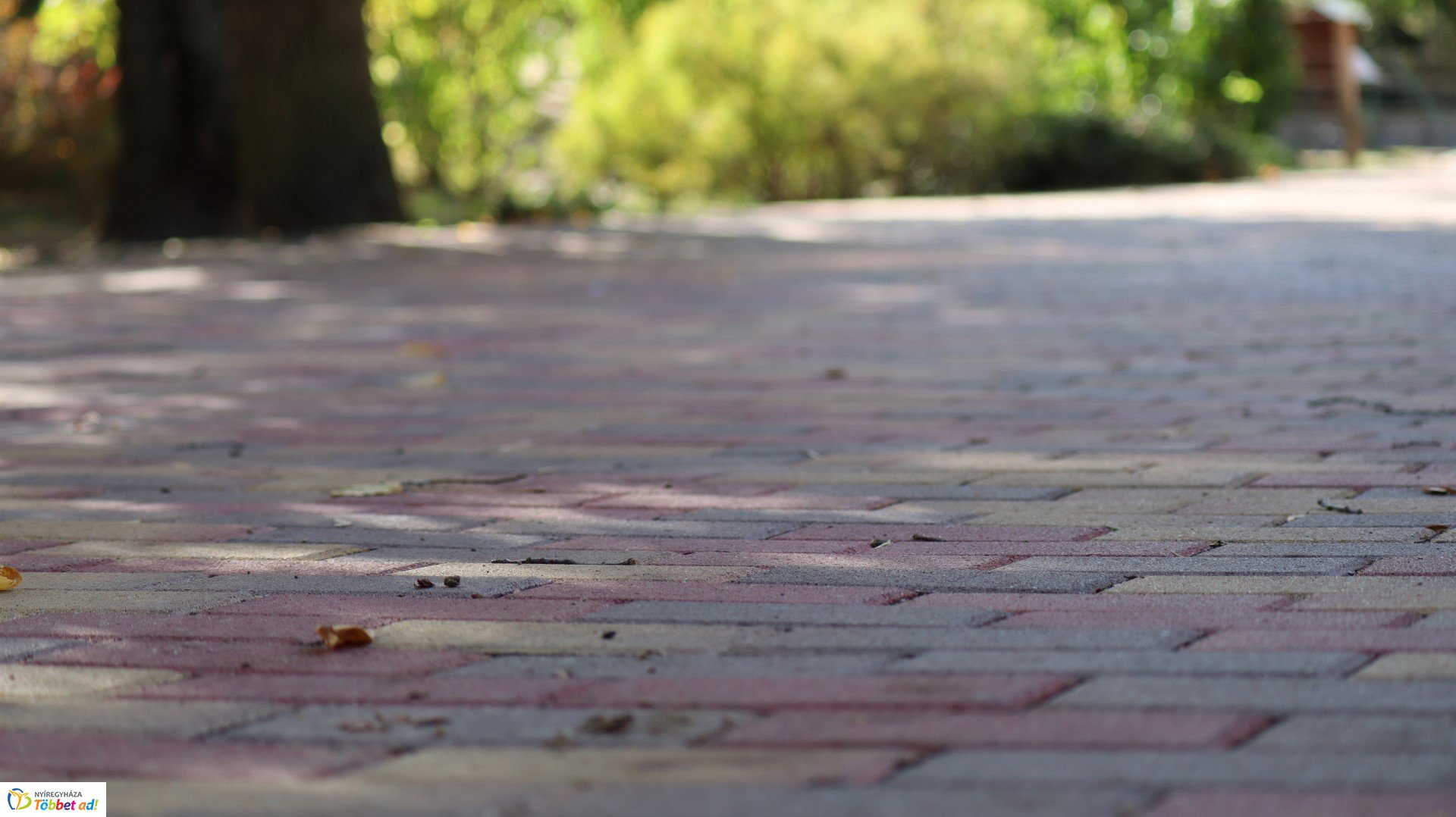 Így készült az Erdei sétány_4