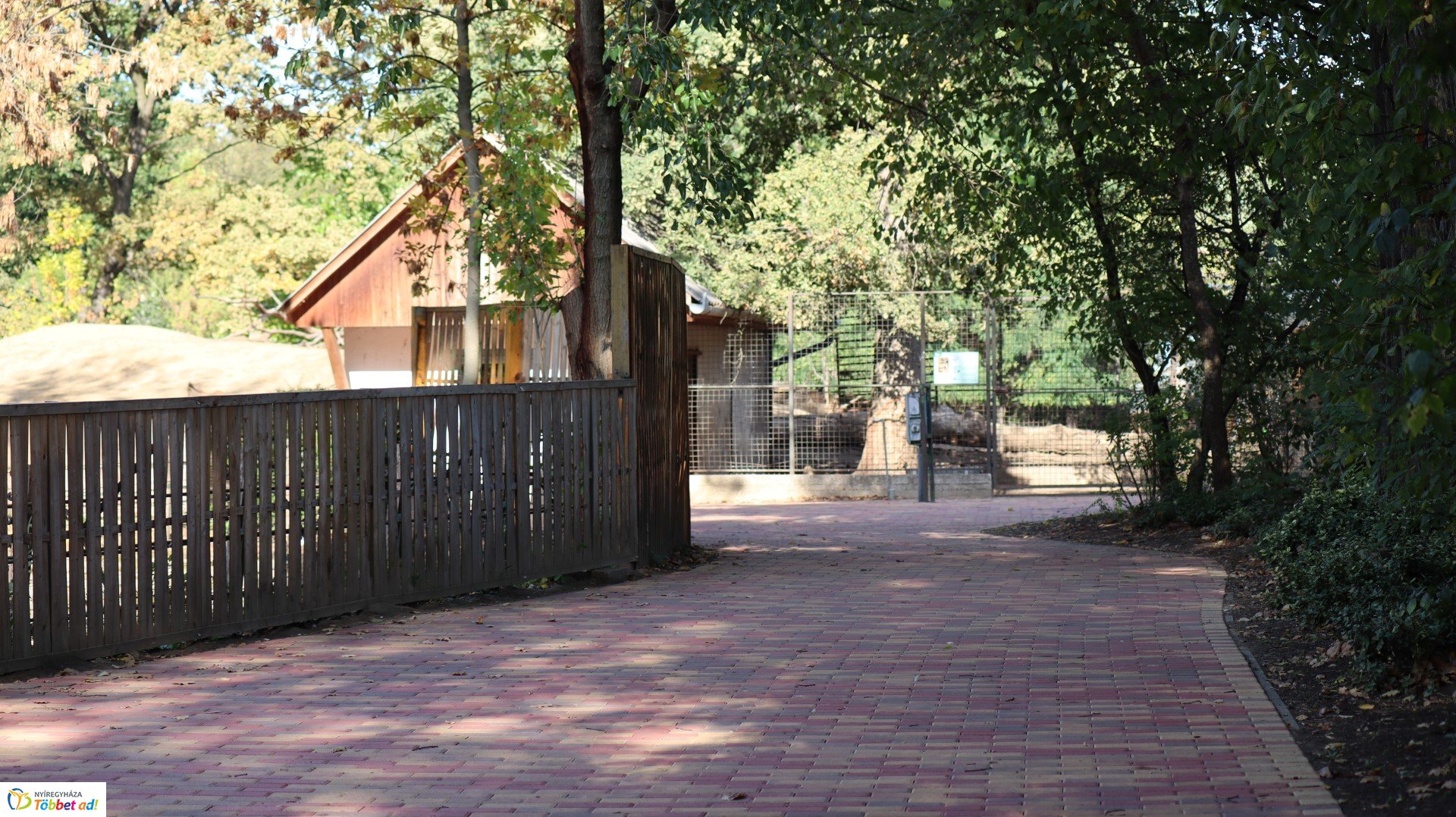 Így készült az Erdei sétány_4