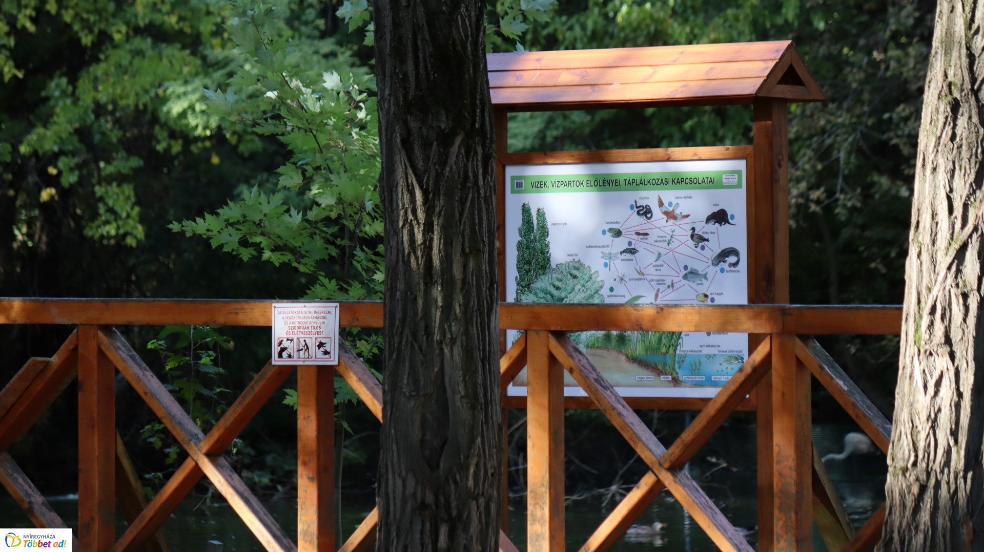 Így készült az Erdei sétány_4