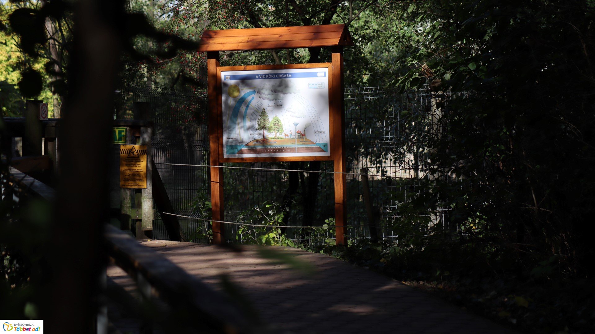 Így készült az Erdei sétány_4