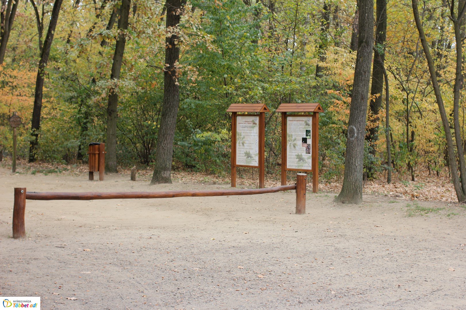 Így készült az Erdei sétány_5