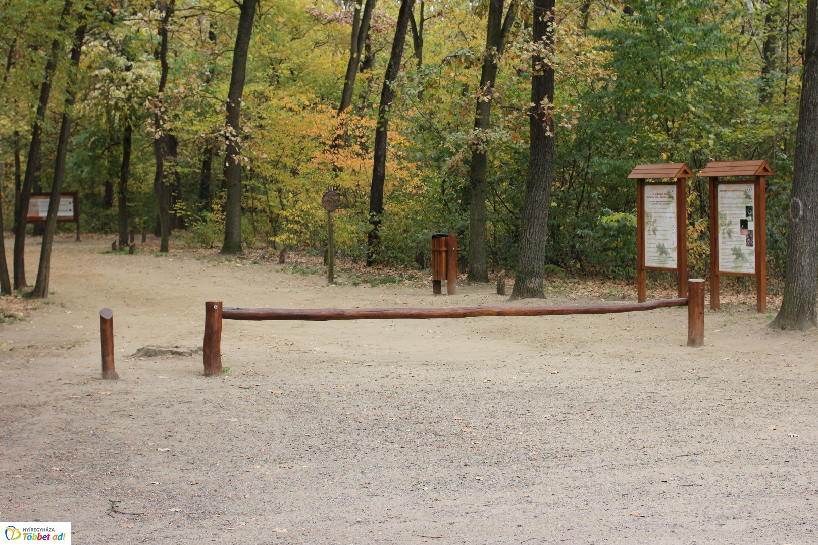 Így készült az Erdei sétány_5