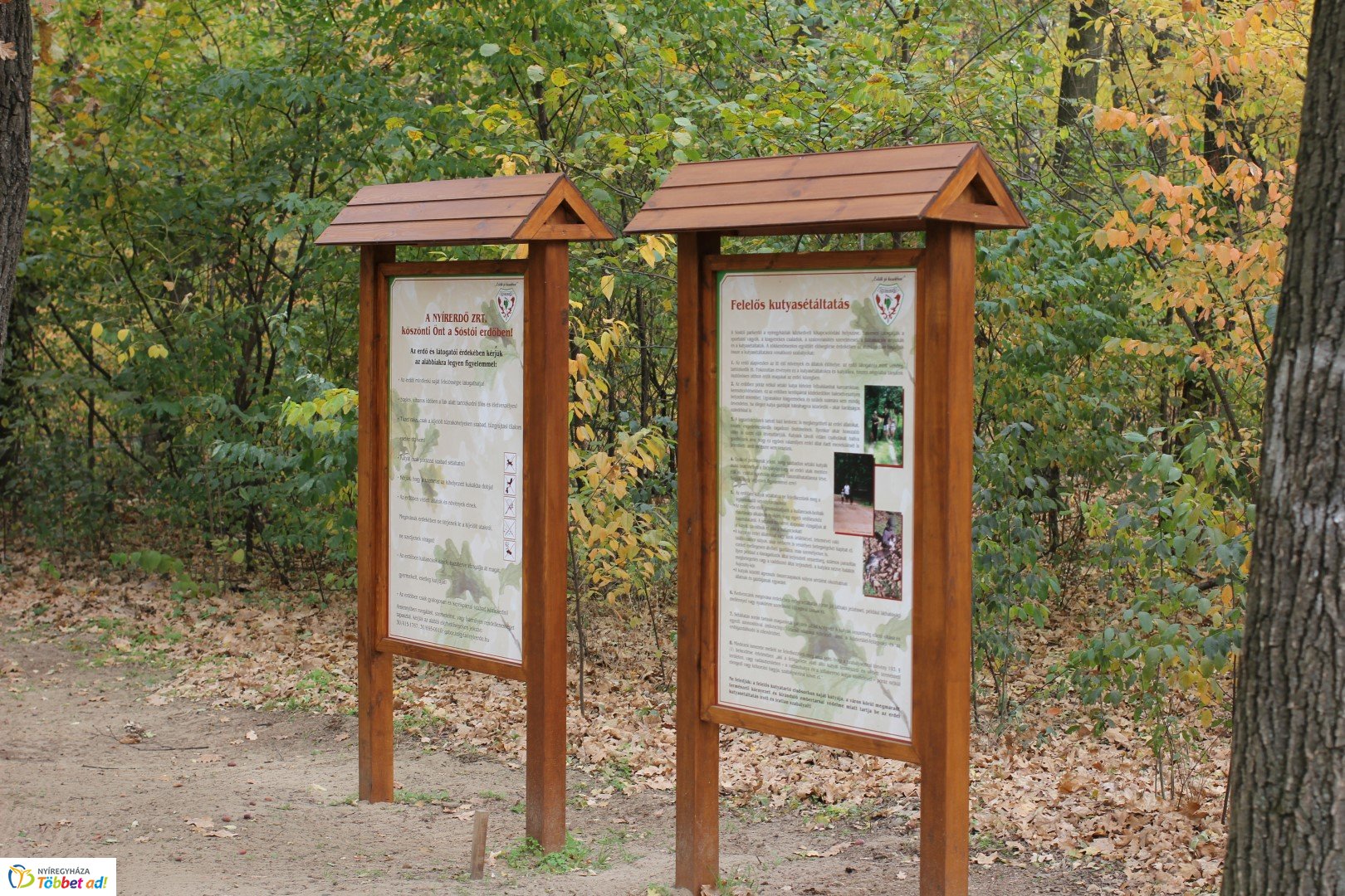 Így készült az Erdei sétány_5